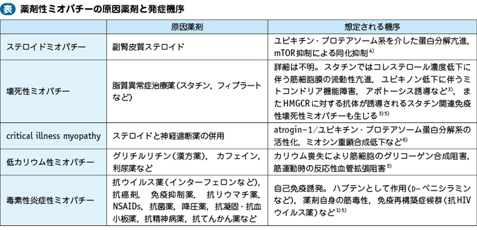 08_26_薬剤性ミオパチー