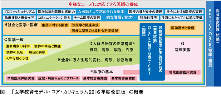 ここが聞きたい】「コアカリ」改訂で医学教育はどう変わる？〜北村 聖