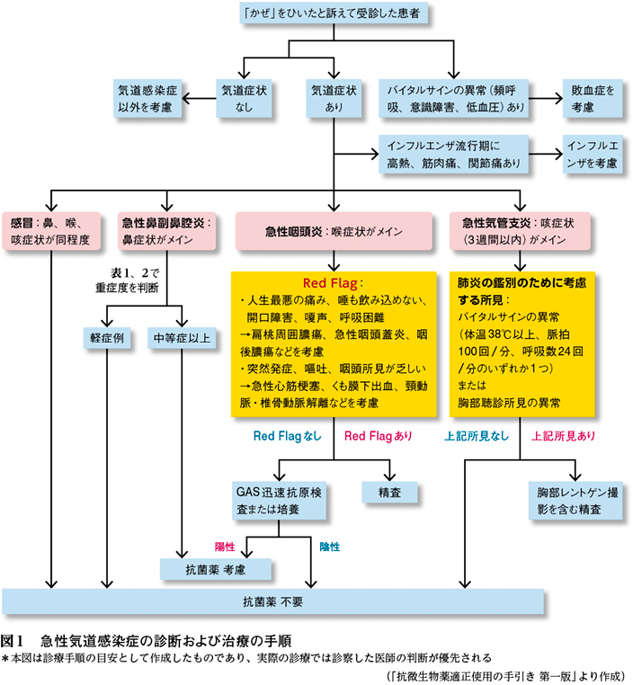 使用 ガイド 適正 コミナティ