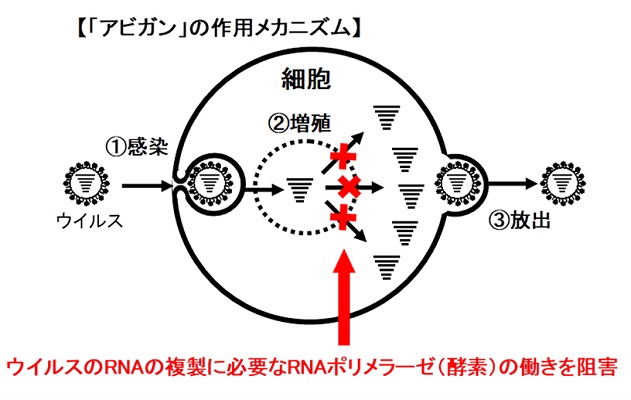 コロナ 心療 内科