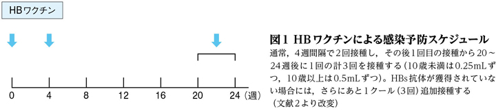 b 型 肝炎 予防 接種 3 回目 遅れ た