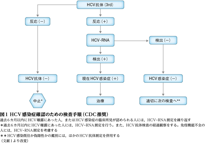 hcv rna 定量 検出 せ ず