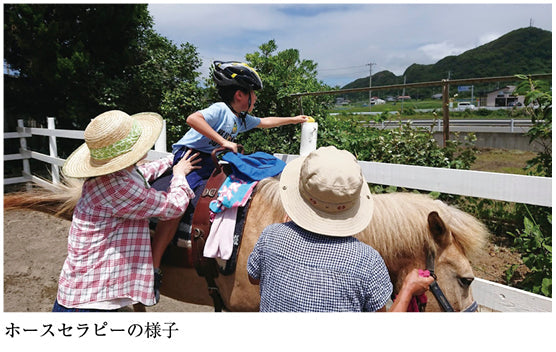 発達障害の長い、長い子育て（市河茂樹）［プラタナス］