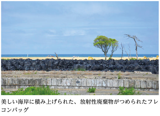 原発事故被害は今も終わっていない（辻内琢也）［プラタナス］