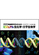 ビジュアル生化学・分子生物学