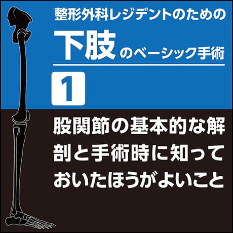 整形外科レジデントのための下肢のベーシック手術1　股関節の基本的な解剖と手術時に知っておいたほうがよいこと（PDF版）