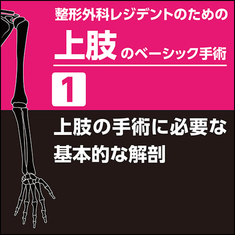 整形外科レジデントのための上肢のベーシック手術1　上肢の手術に必要な基本的な解剖（PDF版）