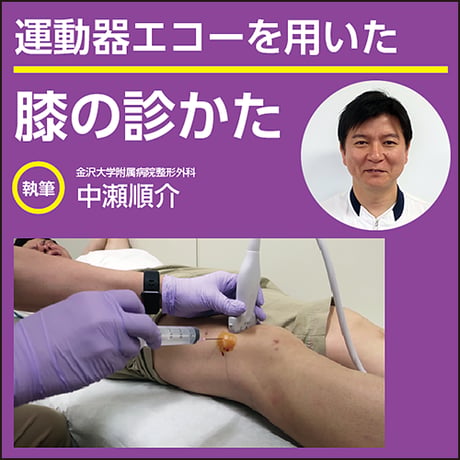 運動器エコーを用いた 膝の診かた