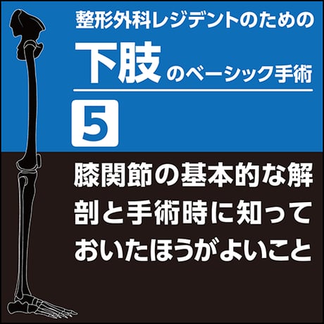 整形外科レジデントのための下肢のベーシック手術5　膝関節の基本的な解剖と手術時に知っておいたほうがよいこと（PDF版）