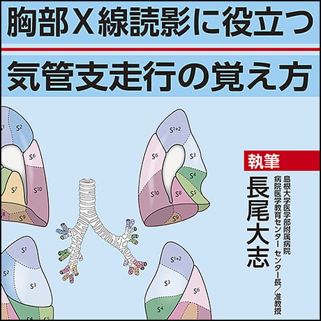 胸部X線読影に役立つ 気管支走行の覚え方