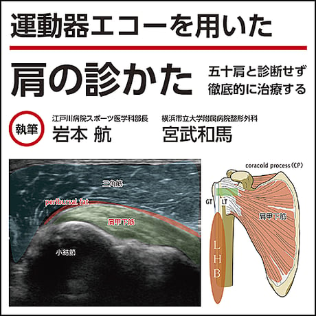 運動器エコーのメタ診療−痛みをどう考え、どう治すのか− 医療関係者
