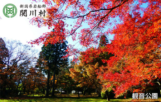 関川村国民健康保険　関川診療所