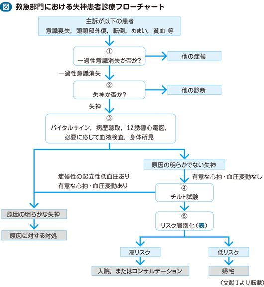 失神 ガイドライン