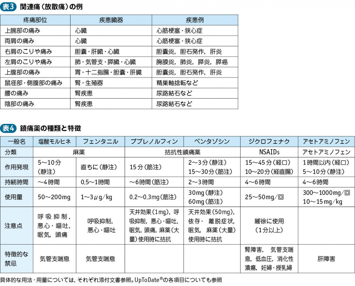 01_12_疼痛