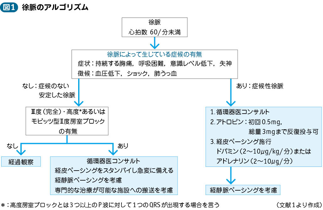 失神 ガイドライン