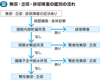 01_21_無尿・乏尿・排尿障害