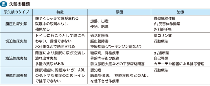 どんなビタミンがEDを引き起こすか