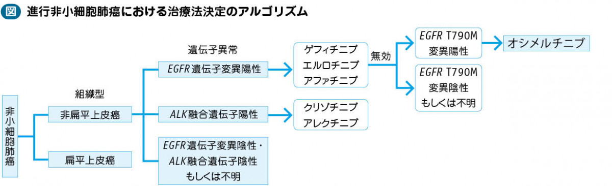 03_27_EGFRおよびALK遺伝子異常陽性肺癌