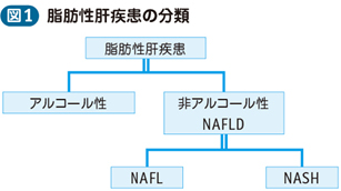 06_07_非アルコール性脂肪性肝疾患（NAFLD）