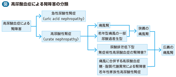 07_18_尿酸性腎症（痛風腎）