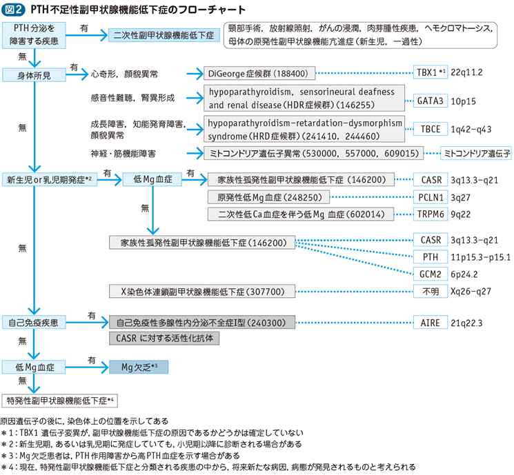 は テタニー 症状 と