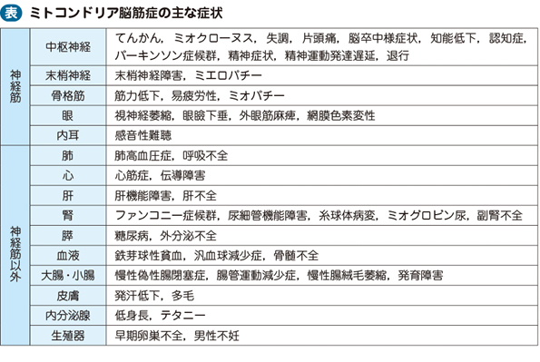 08_25_ミトコンドリア脳筋症