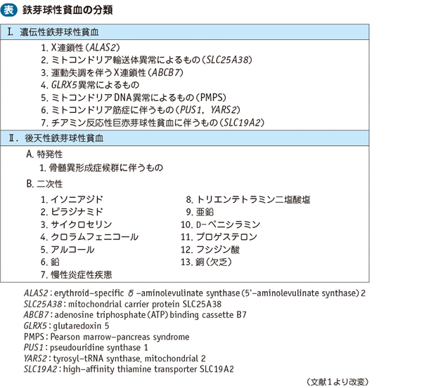 09_04_鉄芽球性貧血