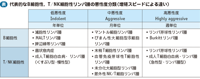 09_19_非ホジキンリンパ腫