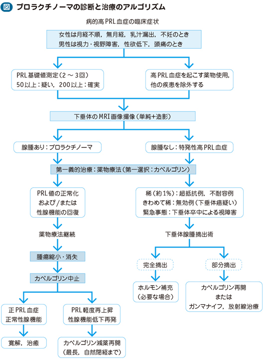 10_06_高プロラクチン血症（プロラクチノーマ…）