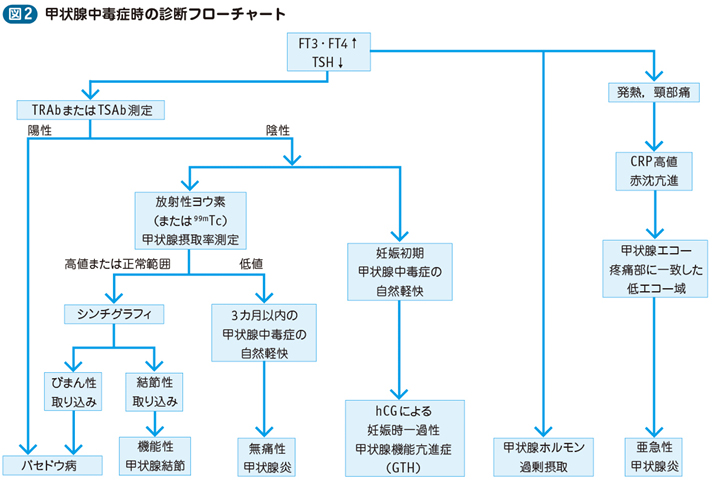 10_09_バセドウ病