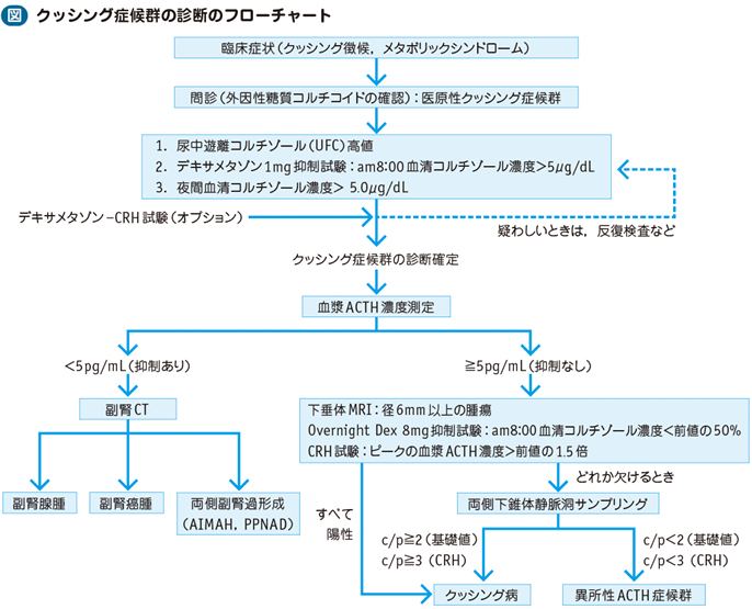 10_20_クッシング症候群