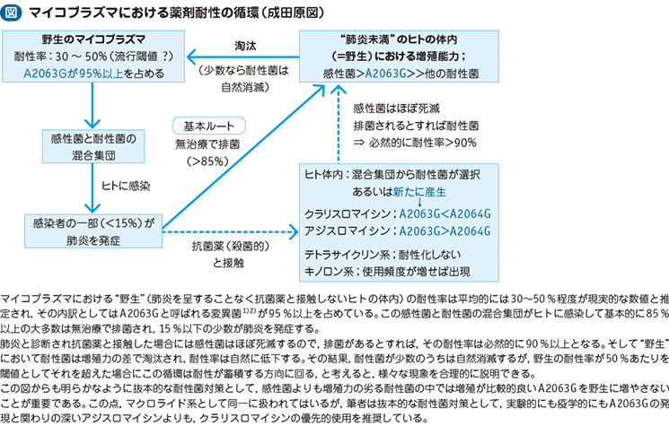 コロナ マイコプラズマ 肺炎