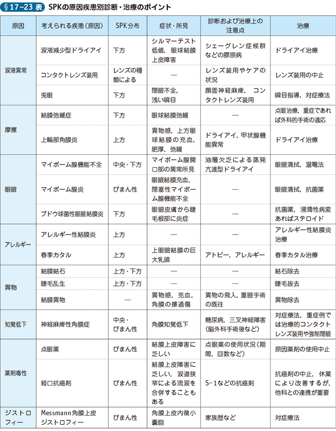 17_23_点状表層角膜症