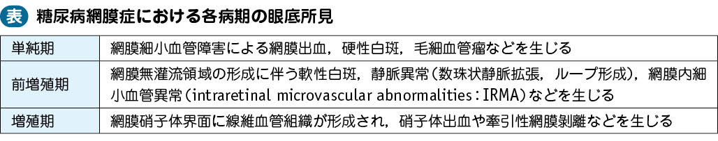 17_41_糖尿病網膜症