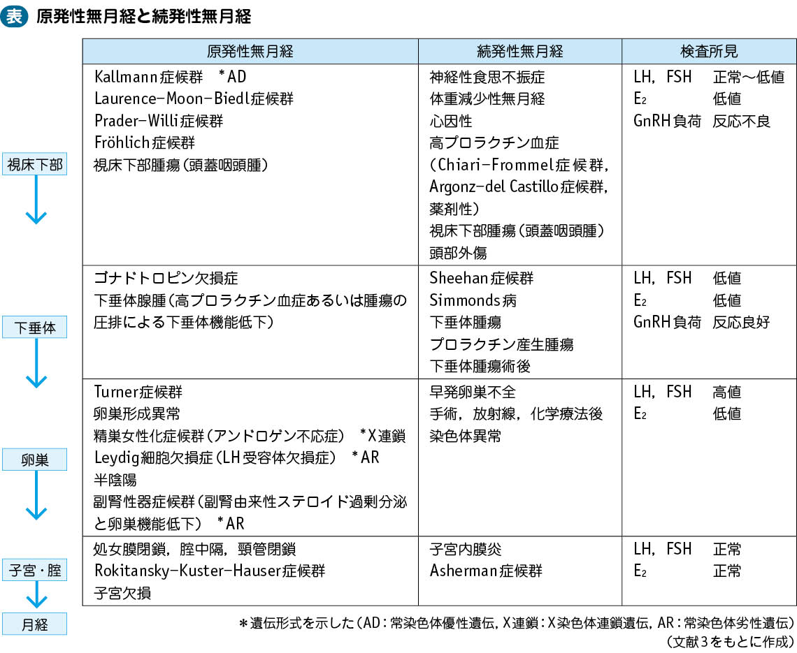 20_01_無月経・希発月経・頻発月経