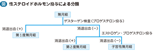 20_01_無月経・希発月経・頻発月経