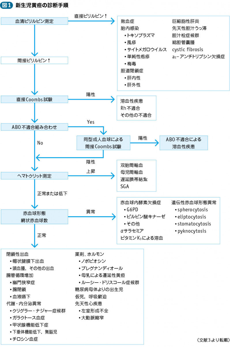 新生児黄疸 新生児高ビリルビン血症 電子コンテンツ 日本医事新報社