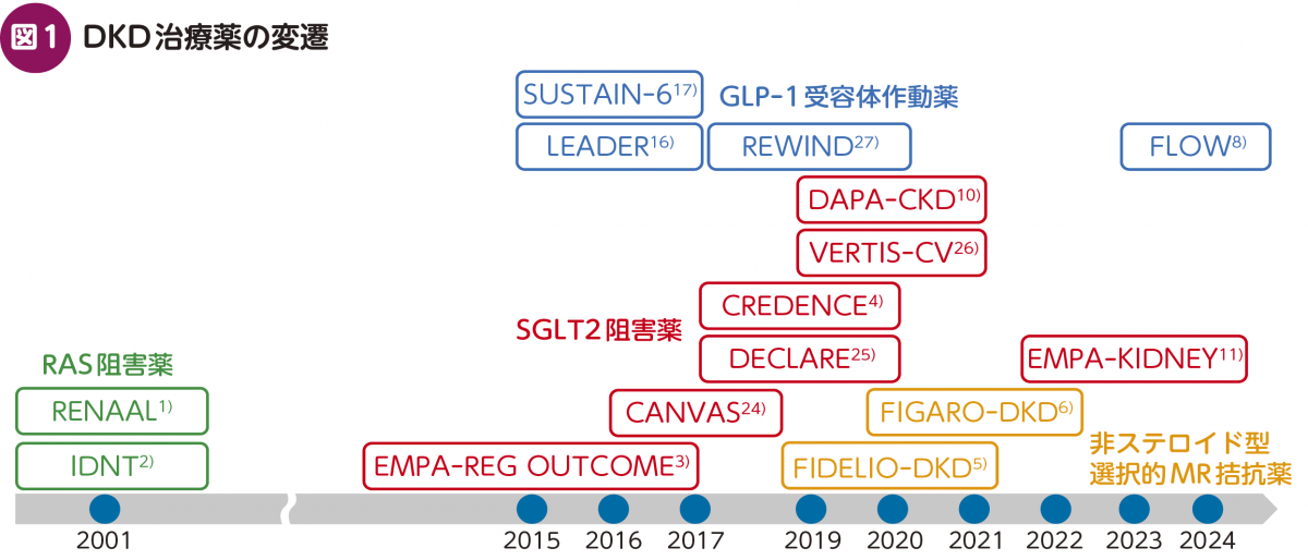 FOCUS：解きほぐすDKD治療薬〈現場での考え方と使い方〉｜Web