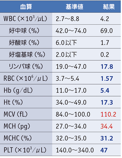 基準 白血球 値 数