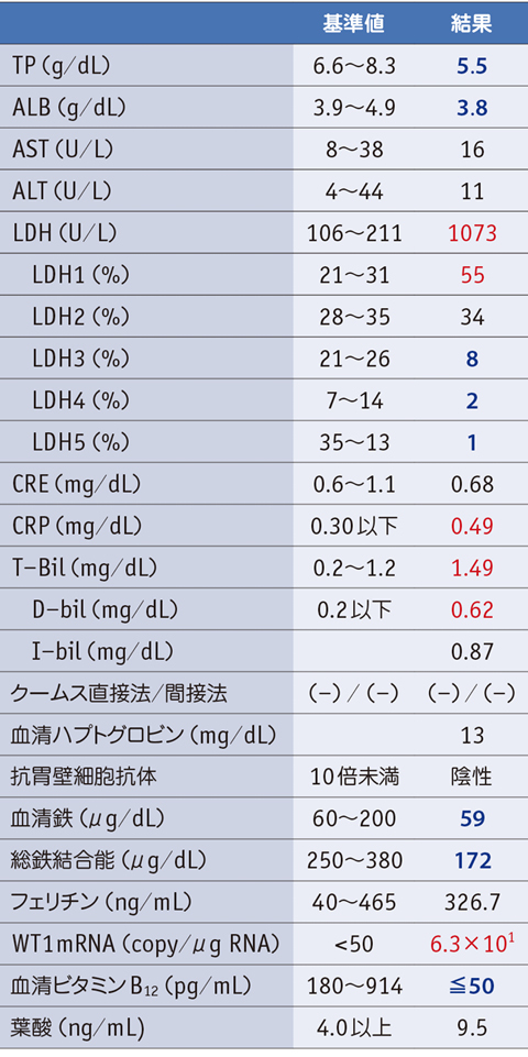 骨髄 検査 結果