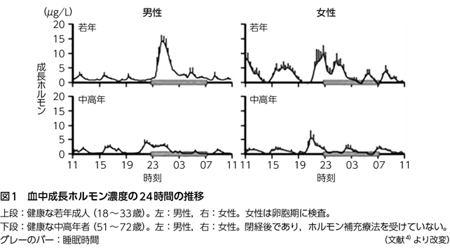 勃起不全のためにどのくらいの亜鉛を摂取する必要がありますか