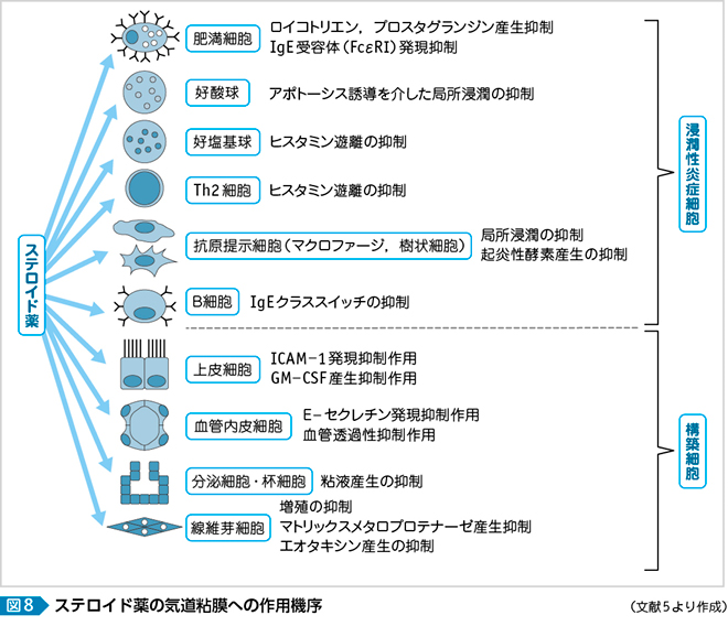 フルナーゼ 市販