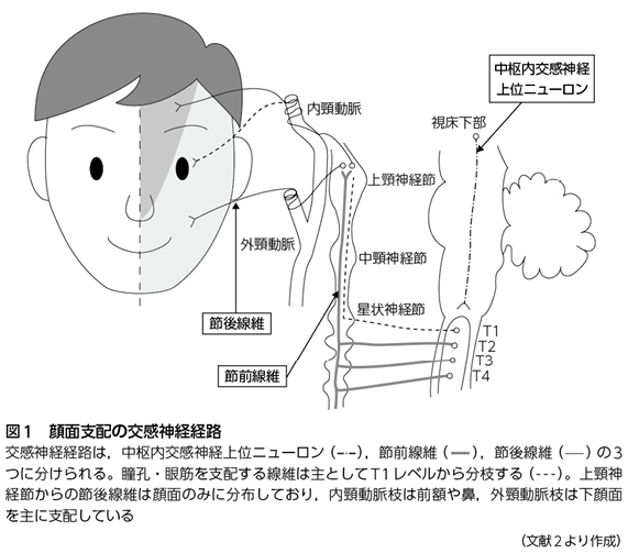 経路 反射 対 光