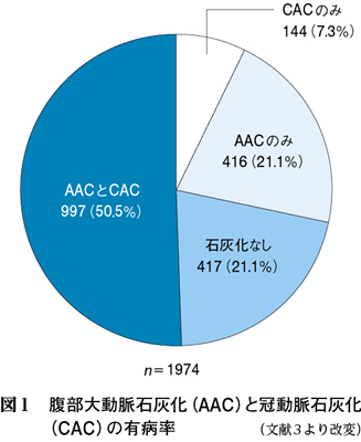 腹部ct検査における動脈硬化所見と大動脈 冠動脈 脳底動脈硬化の相関 Web医事新報 日本医事新報社