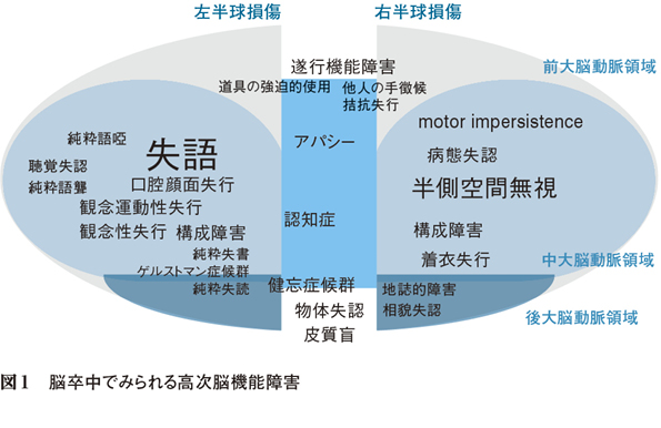 症状 高 障害 脳 次 機能