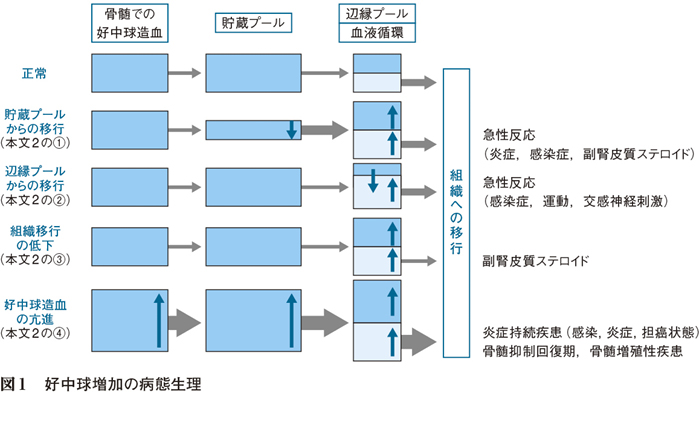 原因 白血球 少ない