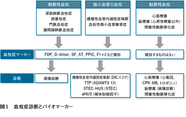 血液 検査 d ダイマー と は