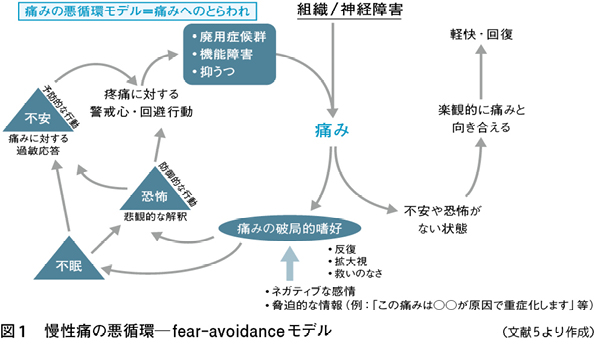 痛み の メカニズム