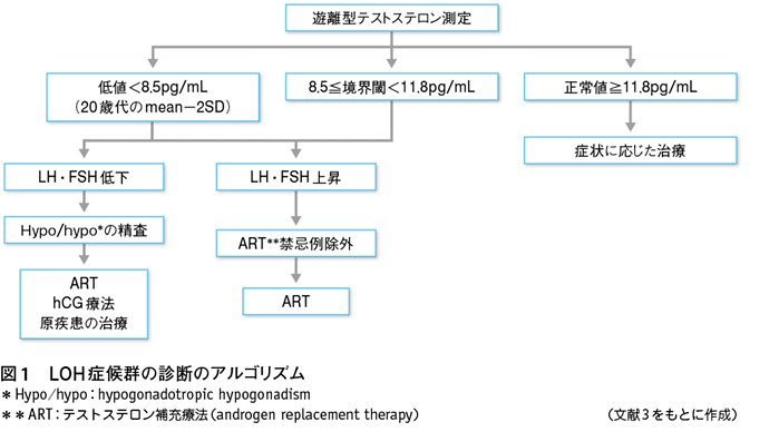 ケーゲル体操はサイズクォーラを増やしますか？