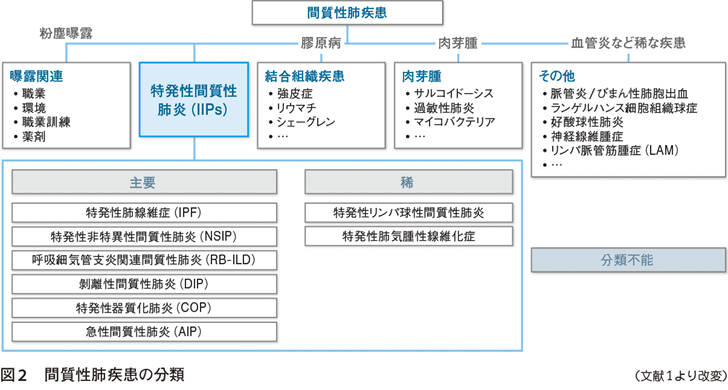 治る 肺炎 質 間 性